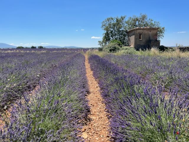 Manosque