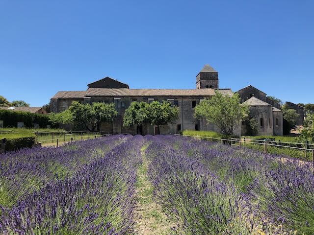 Monastery and lavender field, Saint Remy