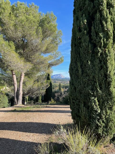 Cezanne sites